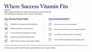 Where Success Vitamin Fits